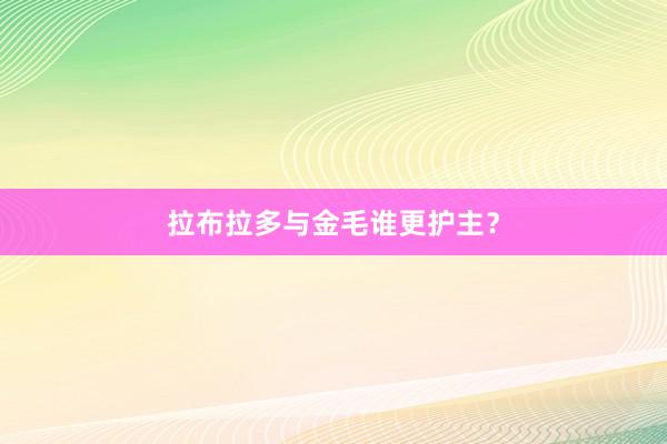 拉布拉多与金毛谁更护主？